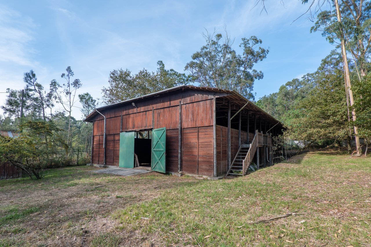 Equestrian Estate in Lavra with 13,000 m² just 800 Meters from the Beach