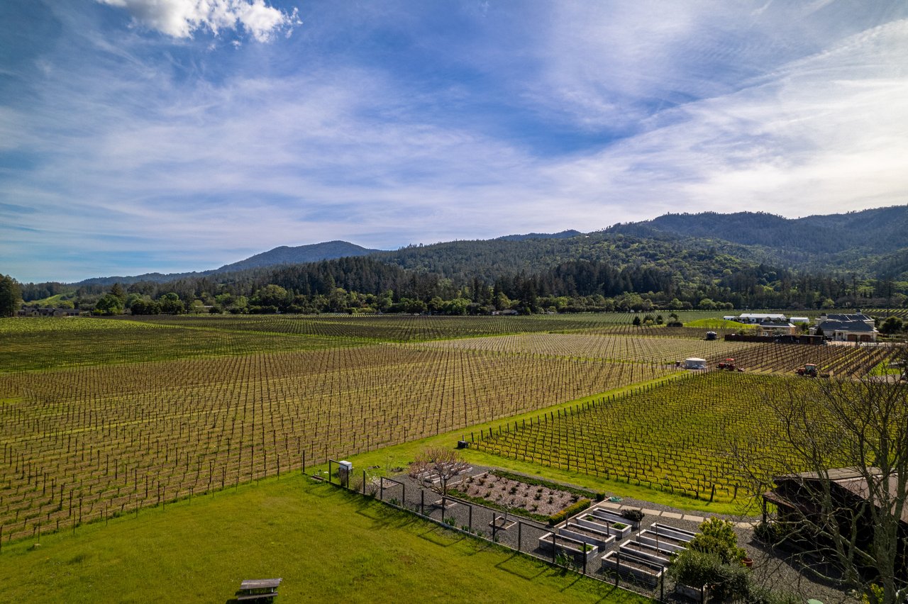 Vineyard View, St. Helena