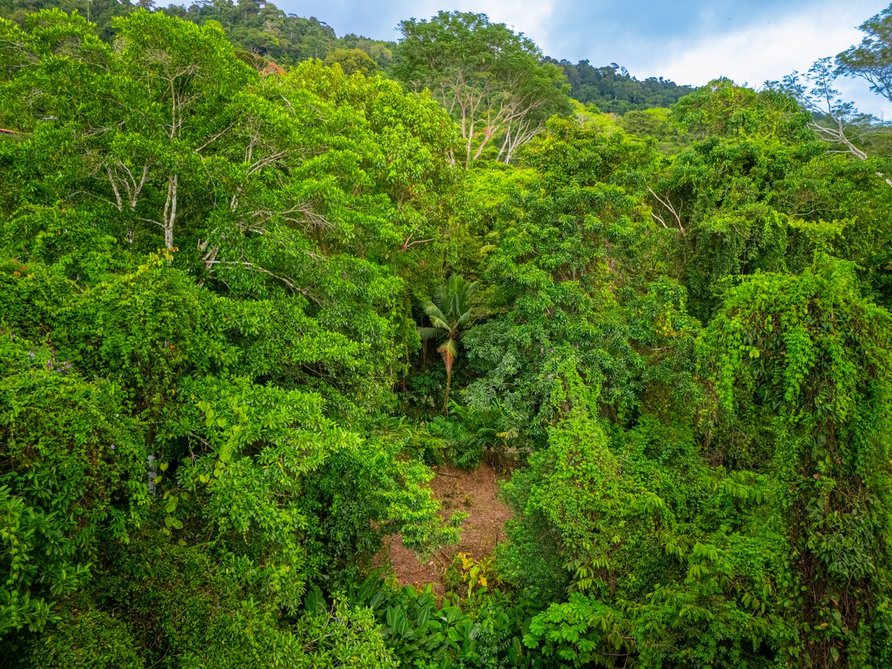 Castillo Puesta del Sol, Escalares - 