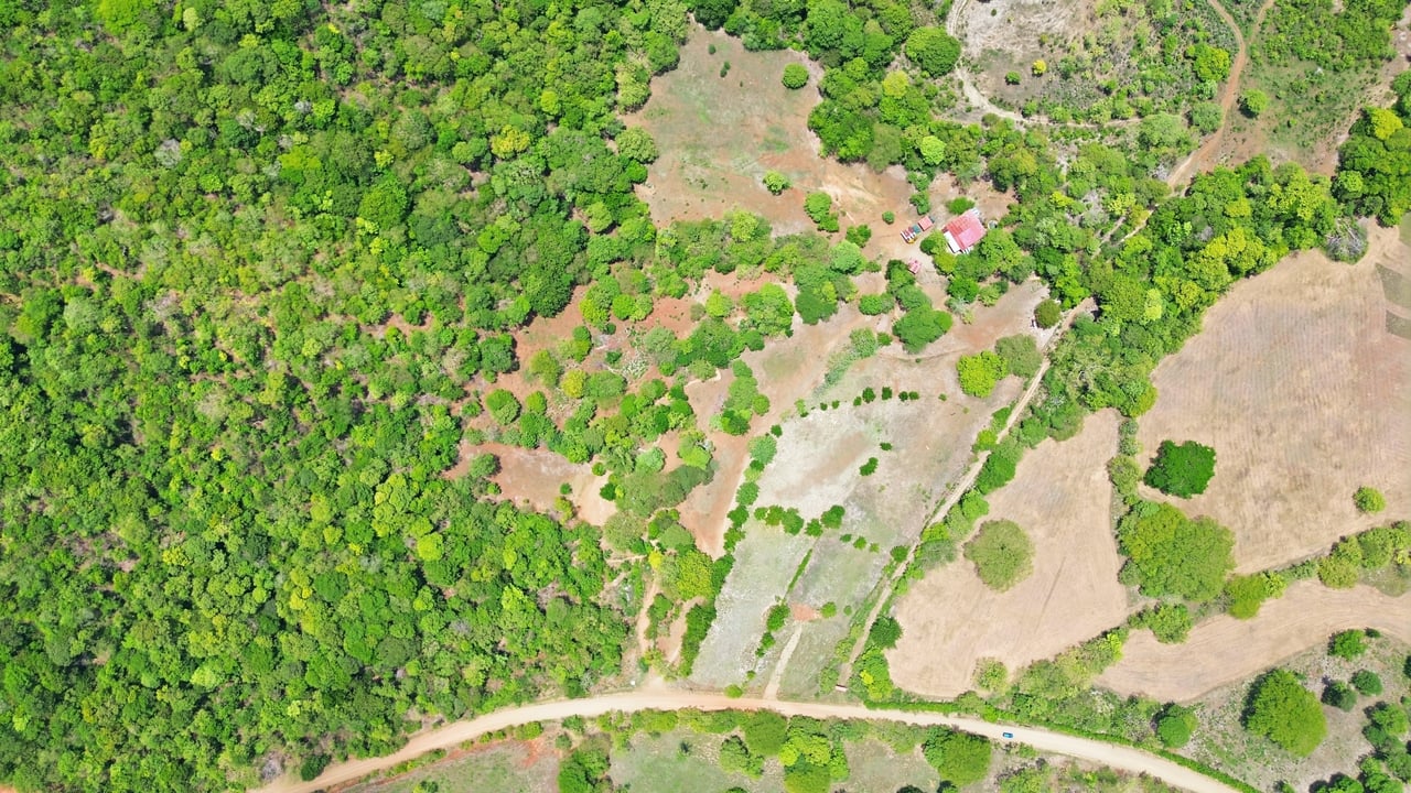 3.4 Acres of Quiet Country Living | 12 minutes from the Beach - Tempate 
