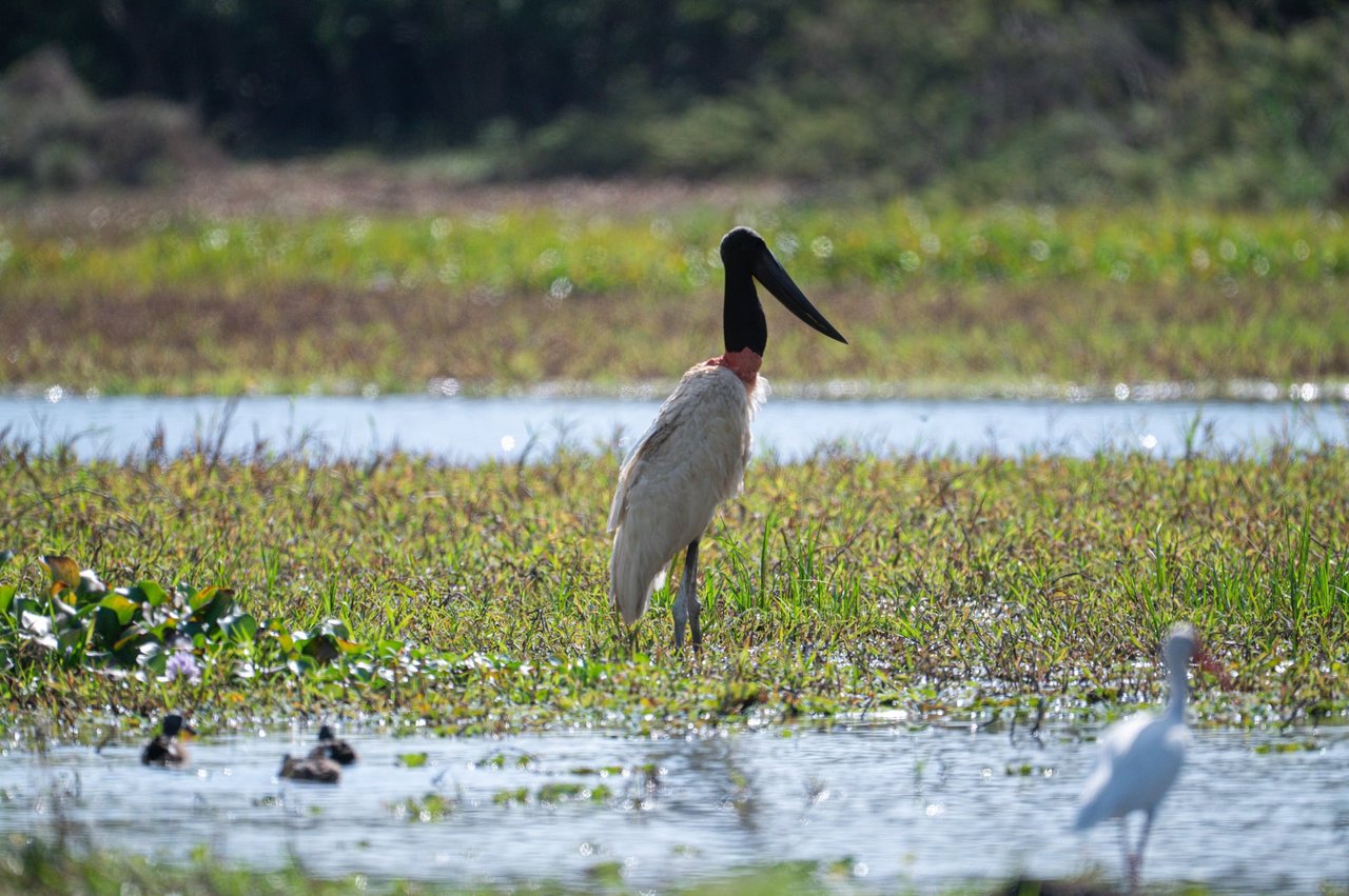 Prime 444-Acre Investment Opportunity 