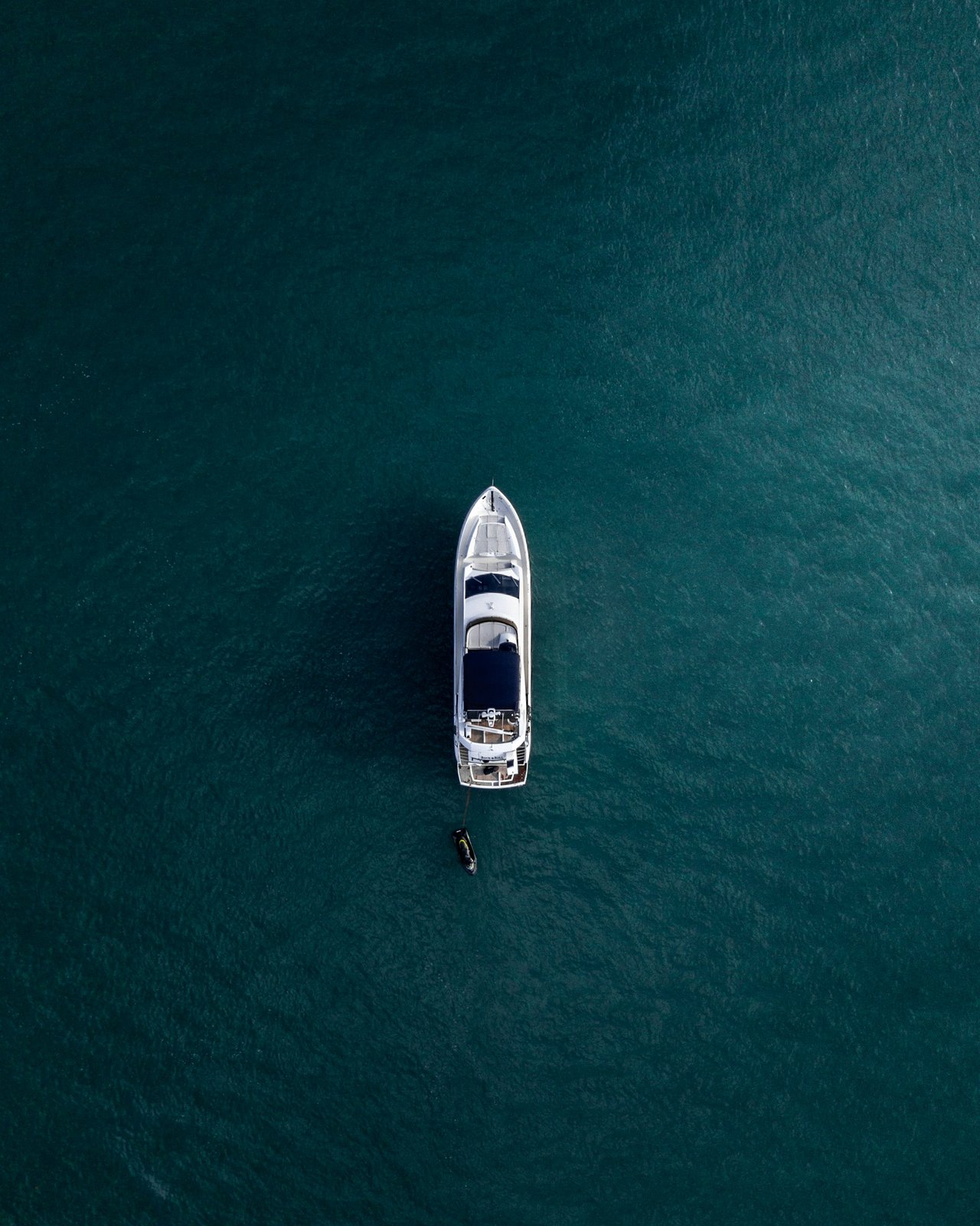 Nest Yachts