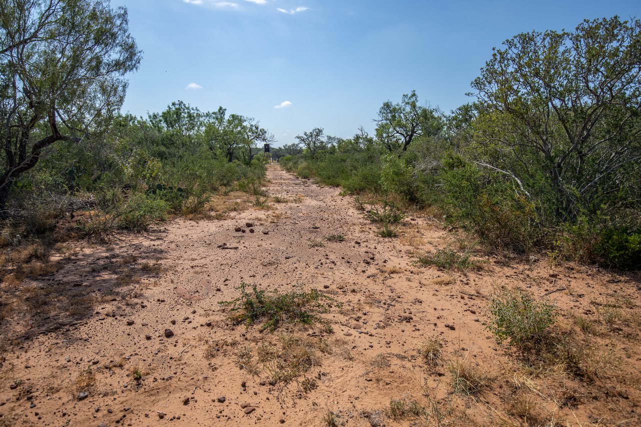 Oaks, Wildlife, & the Quiet of the Countryside | 26.99± Acres | Poteet, TX