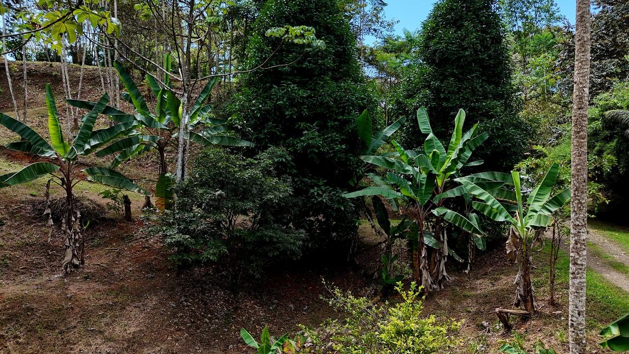 Beautiful mountain view land located in a quiet community in Ojochal. 