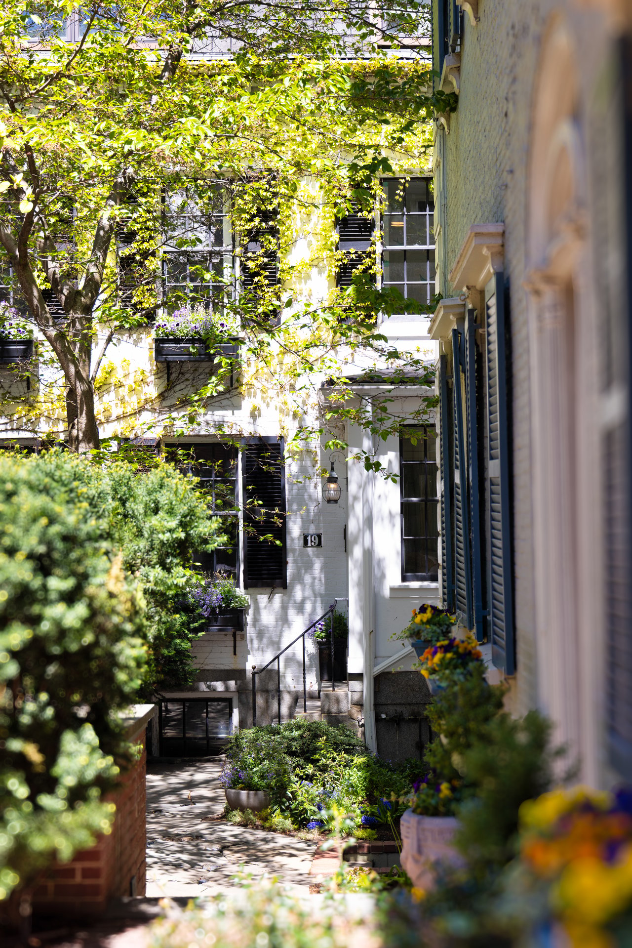 Beacon Hill Single Family