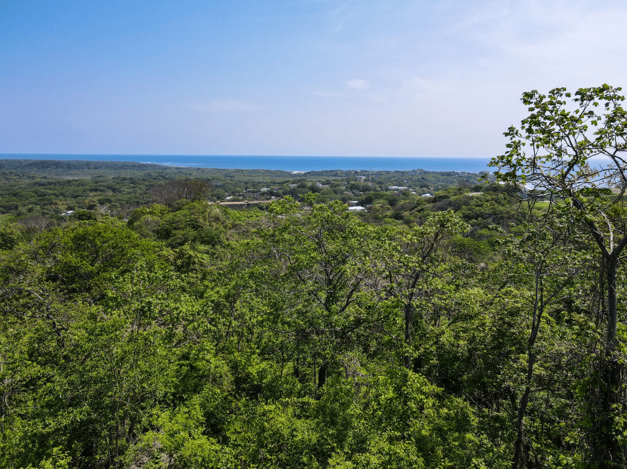 Paradise Ridge Retreat - Luxurious Oceanview Living - Senderos