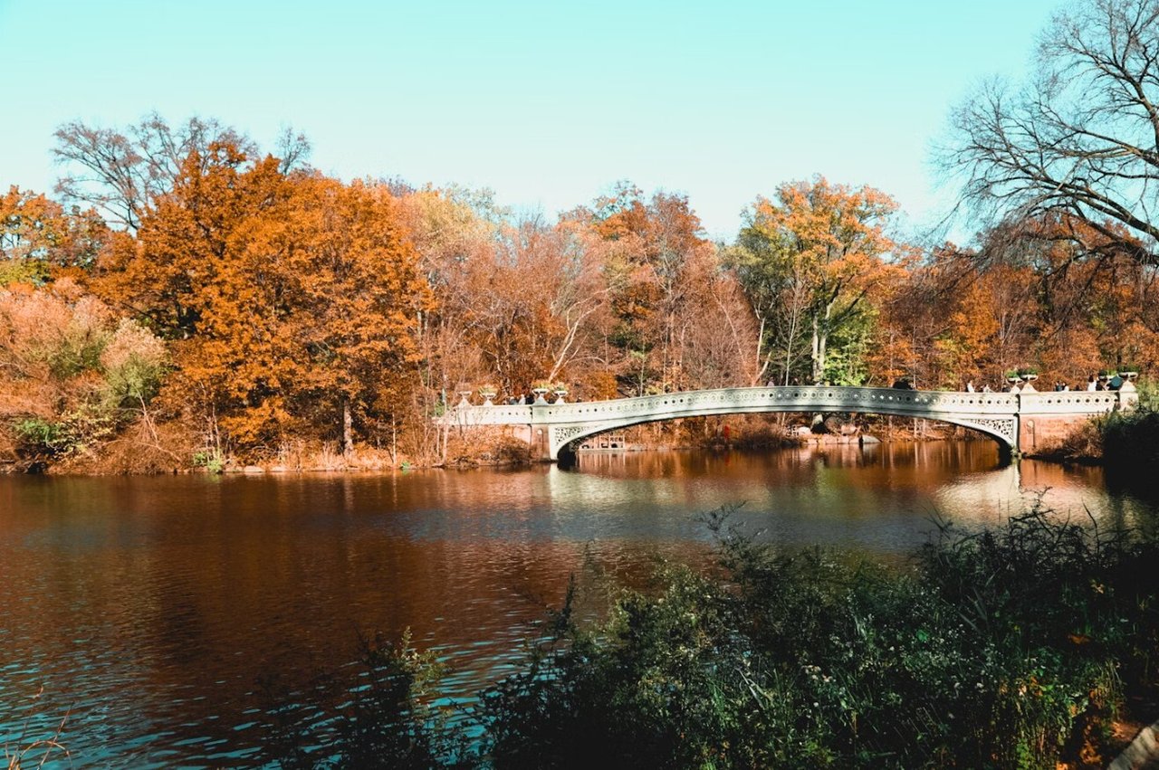 NYC Real Estate Market Update - September 2025