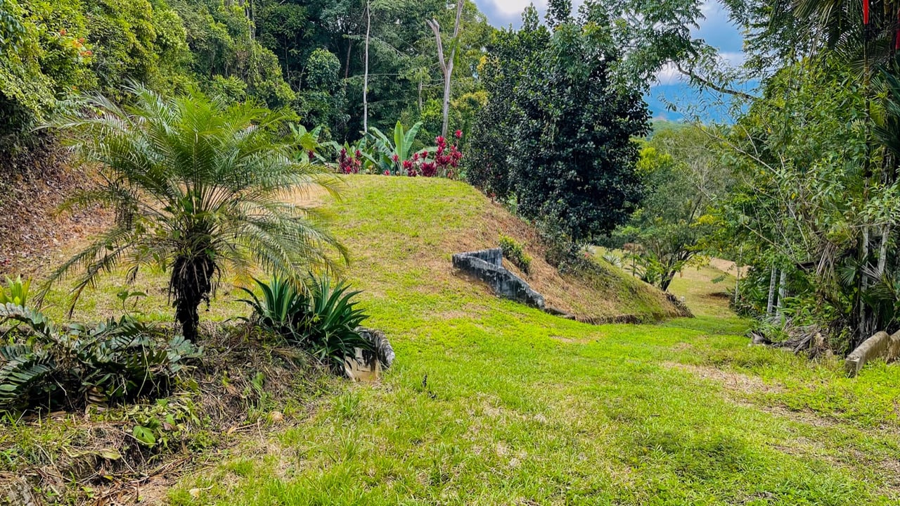 Scenic 2.53 Acres in Fila Cacao Ridge – Build-Ready Lot with Legal Water in Platanillo!