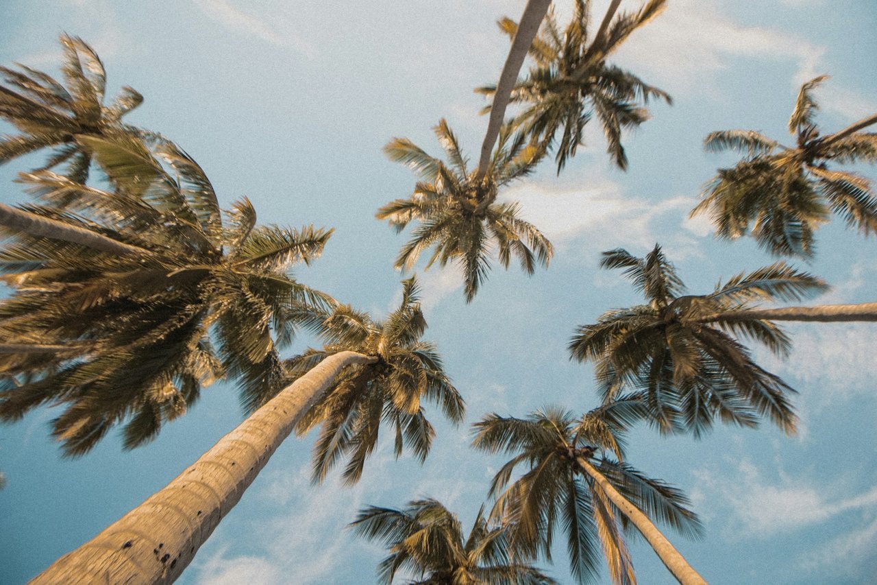 September 2025 Market Update