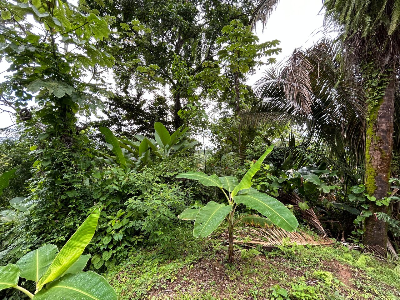 Ocean View Property in Playa Hermosa - Over 1 Acre