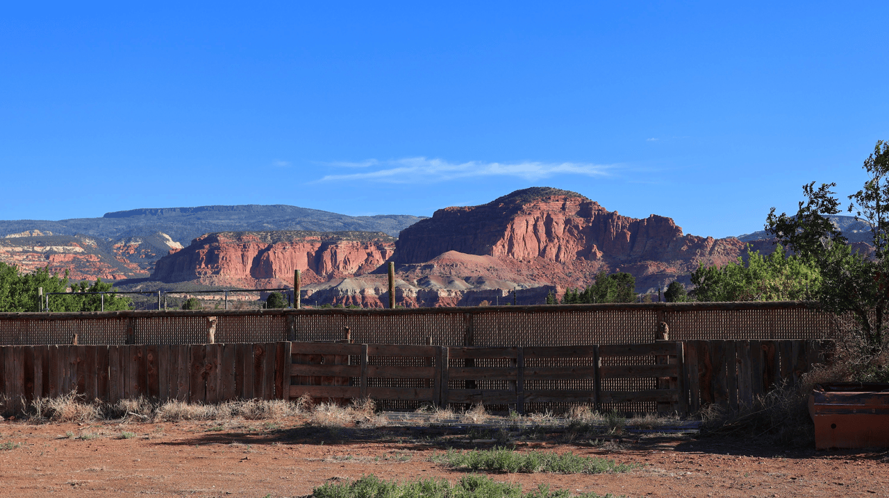 Torrey Land & Greenhouses