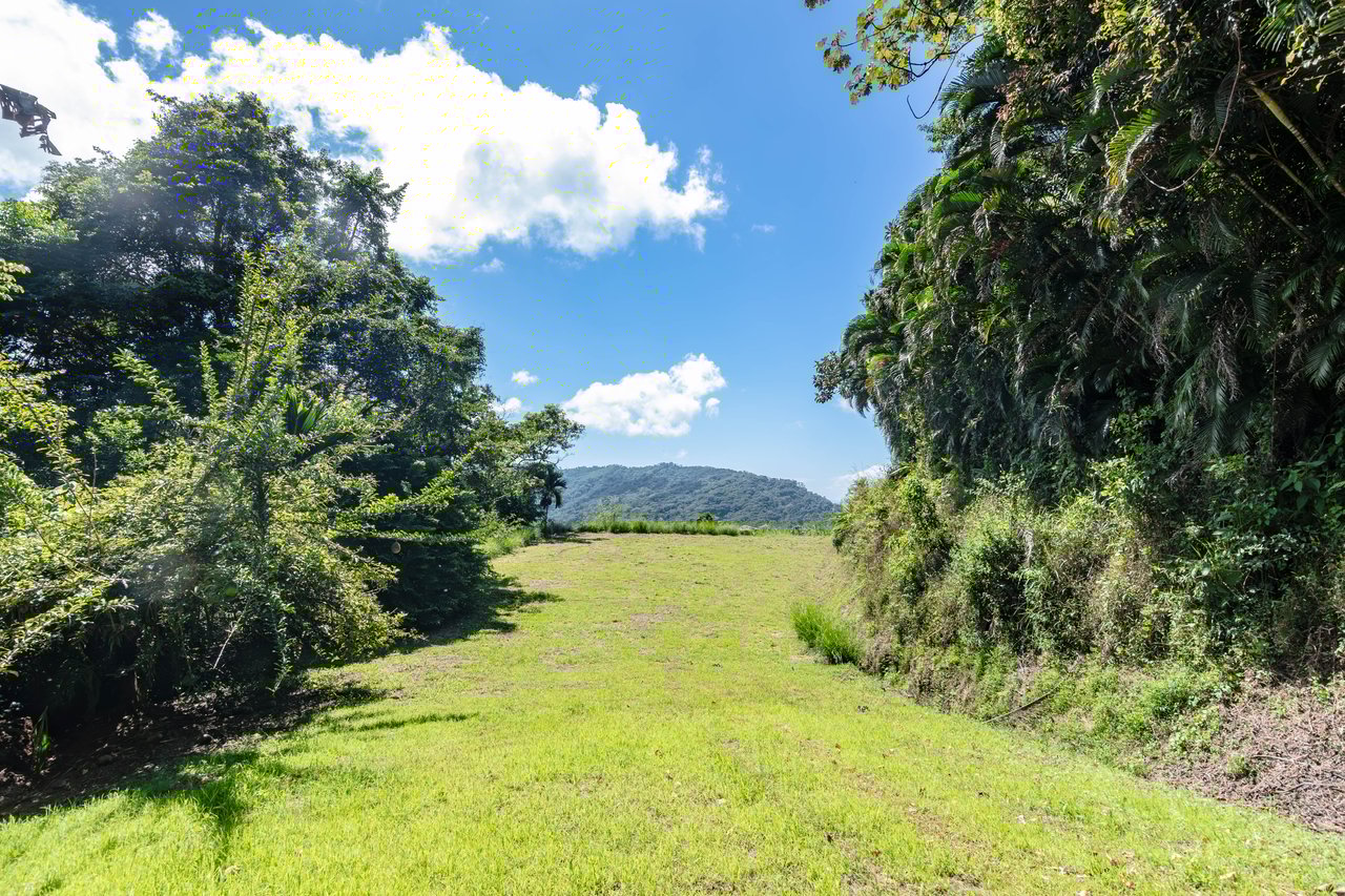 A Rare Thermal-Wellness Development Opportunity - Cacao Estates