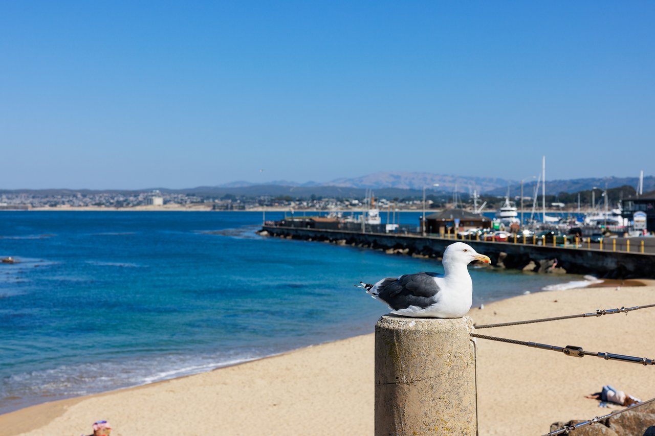 Seaside
