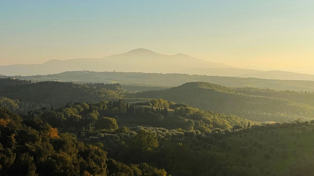 PODERE DELLE CAVE 