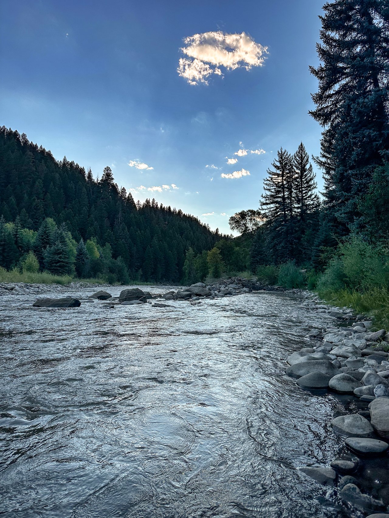Rocky river flowing through a forested valley beneath a blue, cloud-dotted sky.