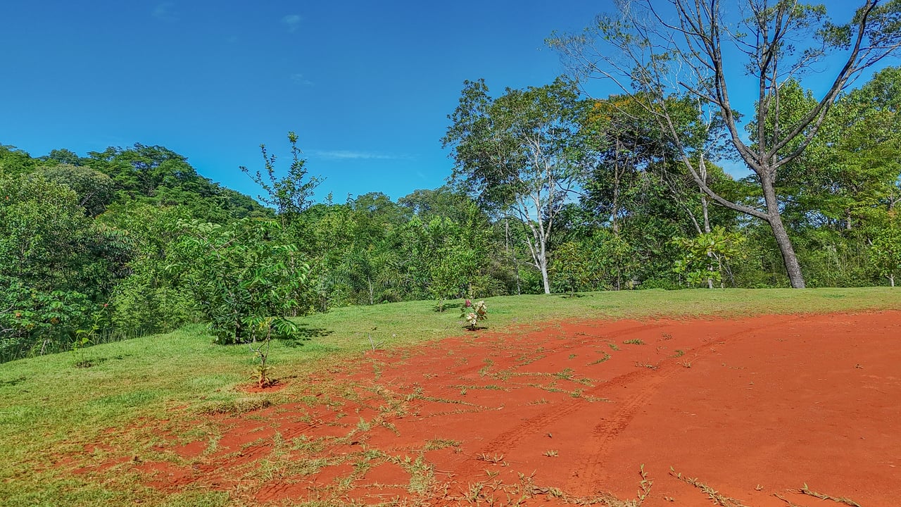 Jungle River Retreat with Airbnb & Build Space in Ojochal