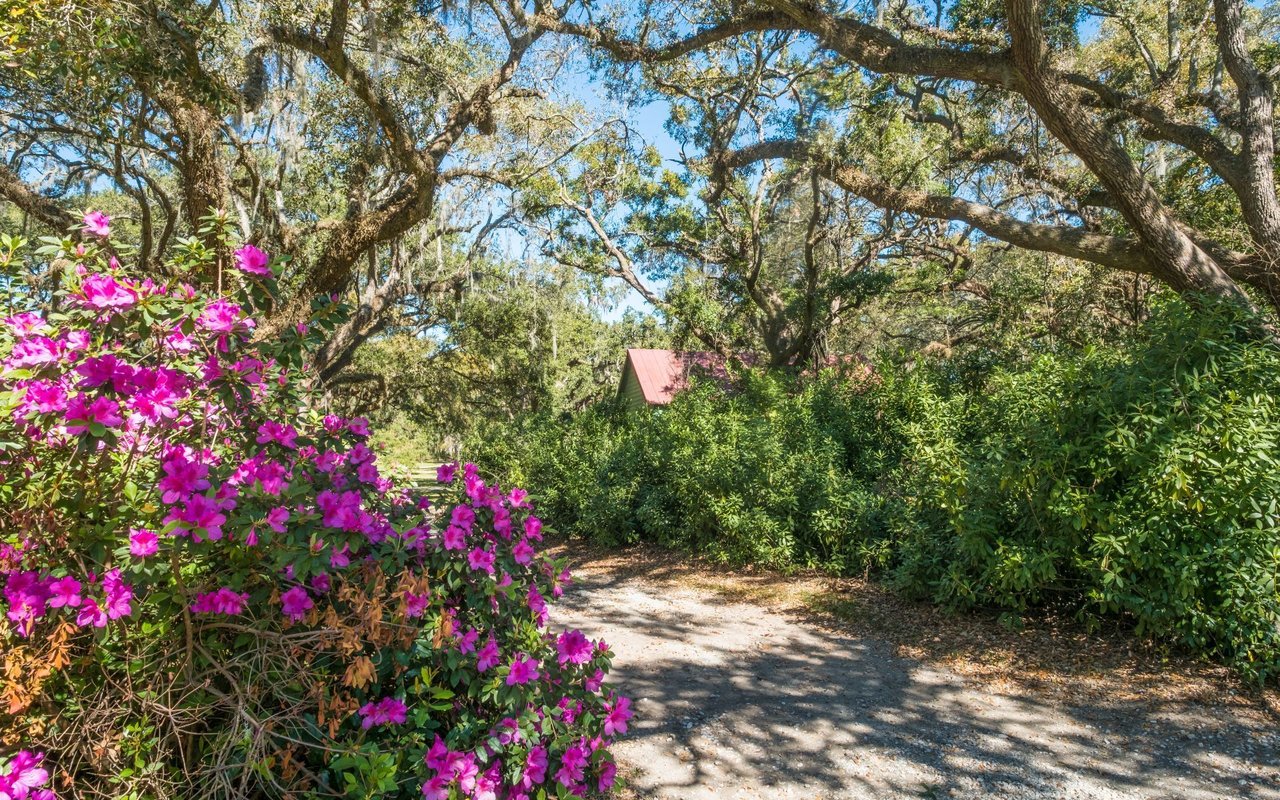 James Island