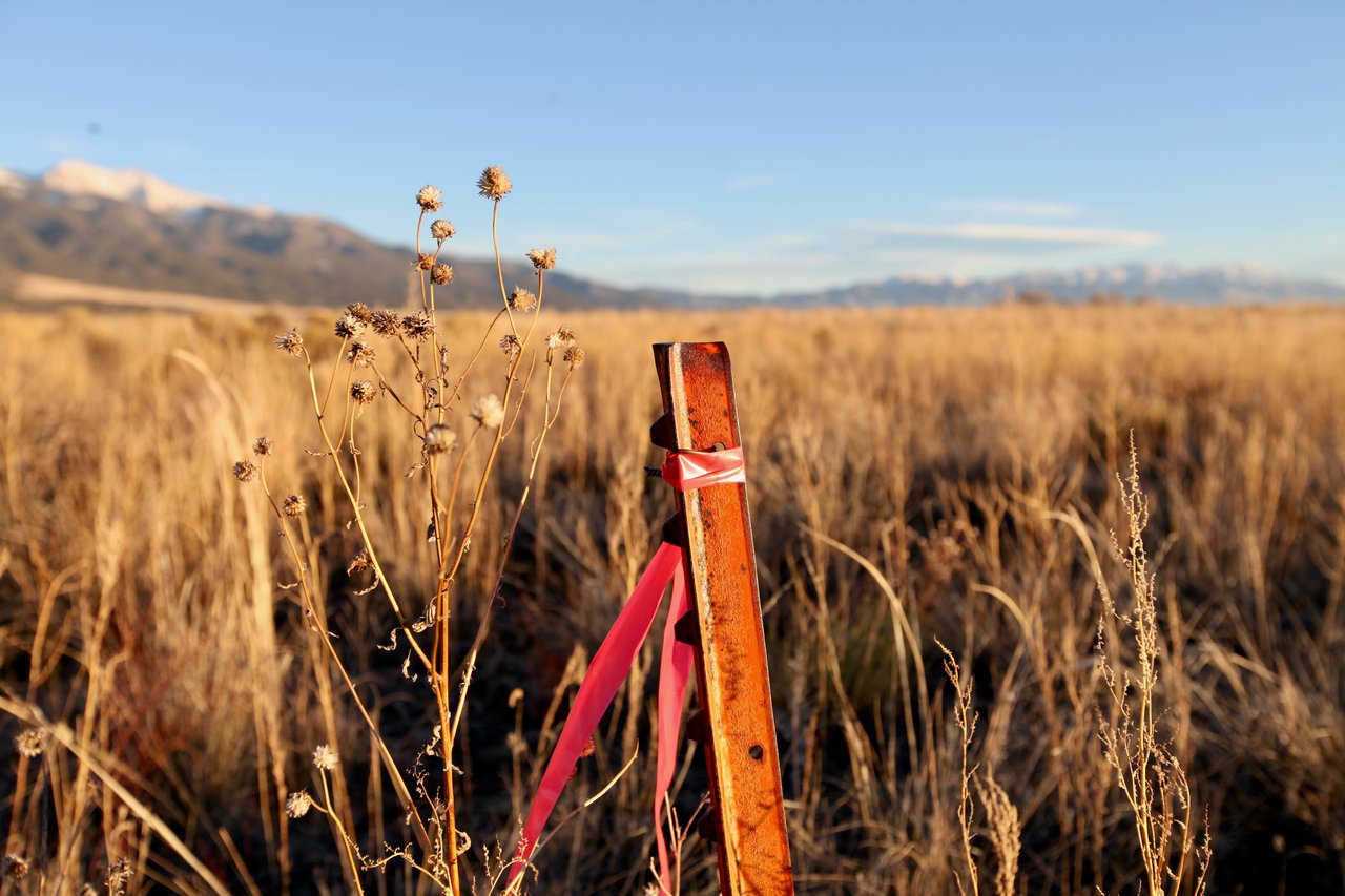 Pine Cone Road Homesites