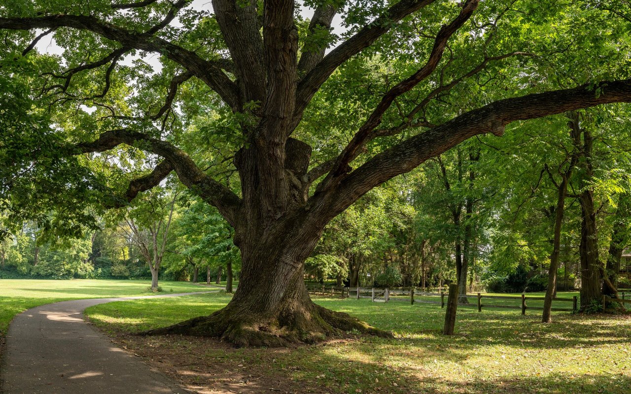 Cedar Park