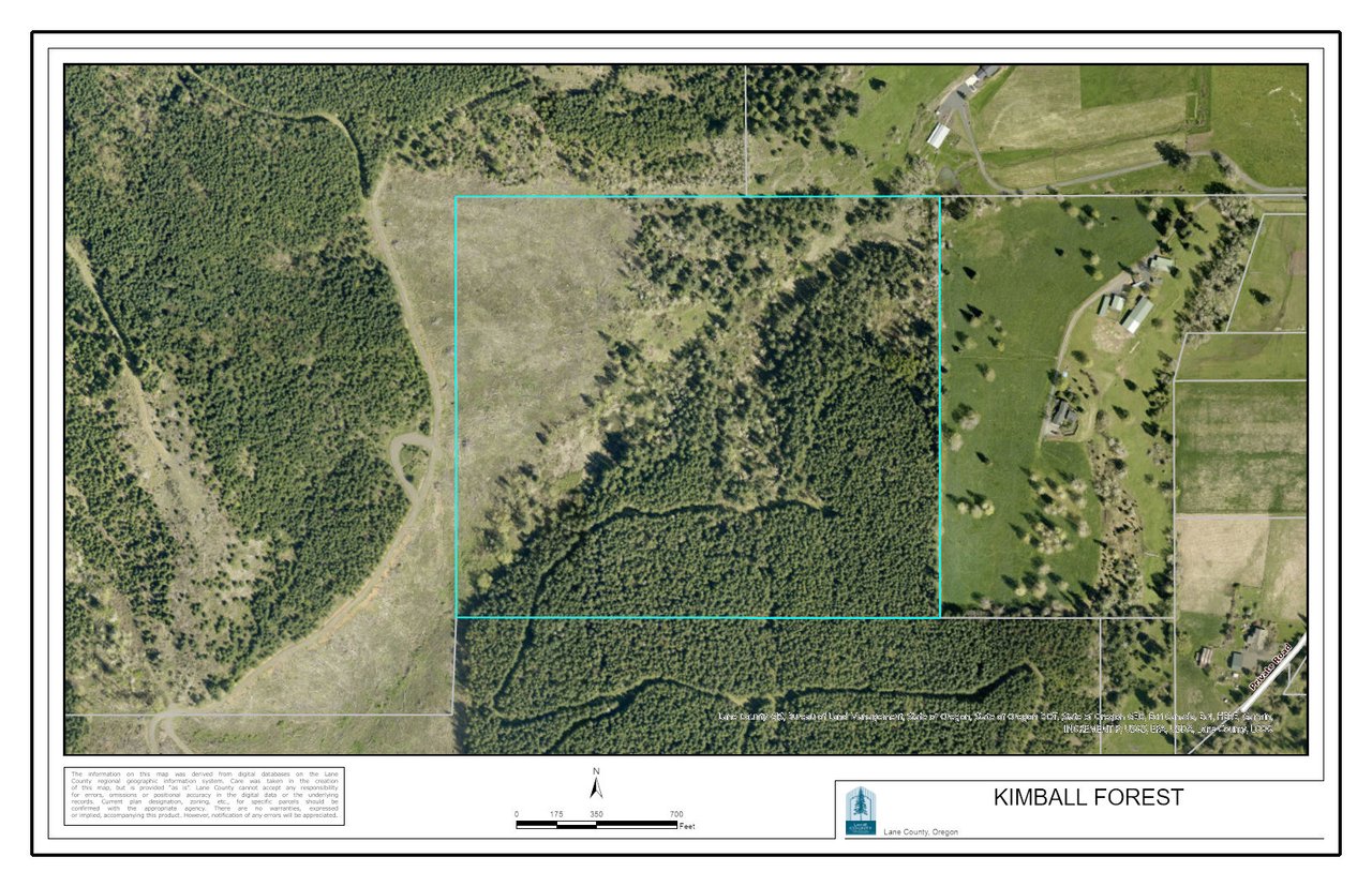 KIMBALL FOREST