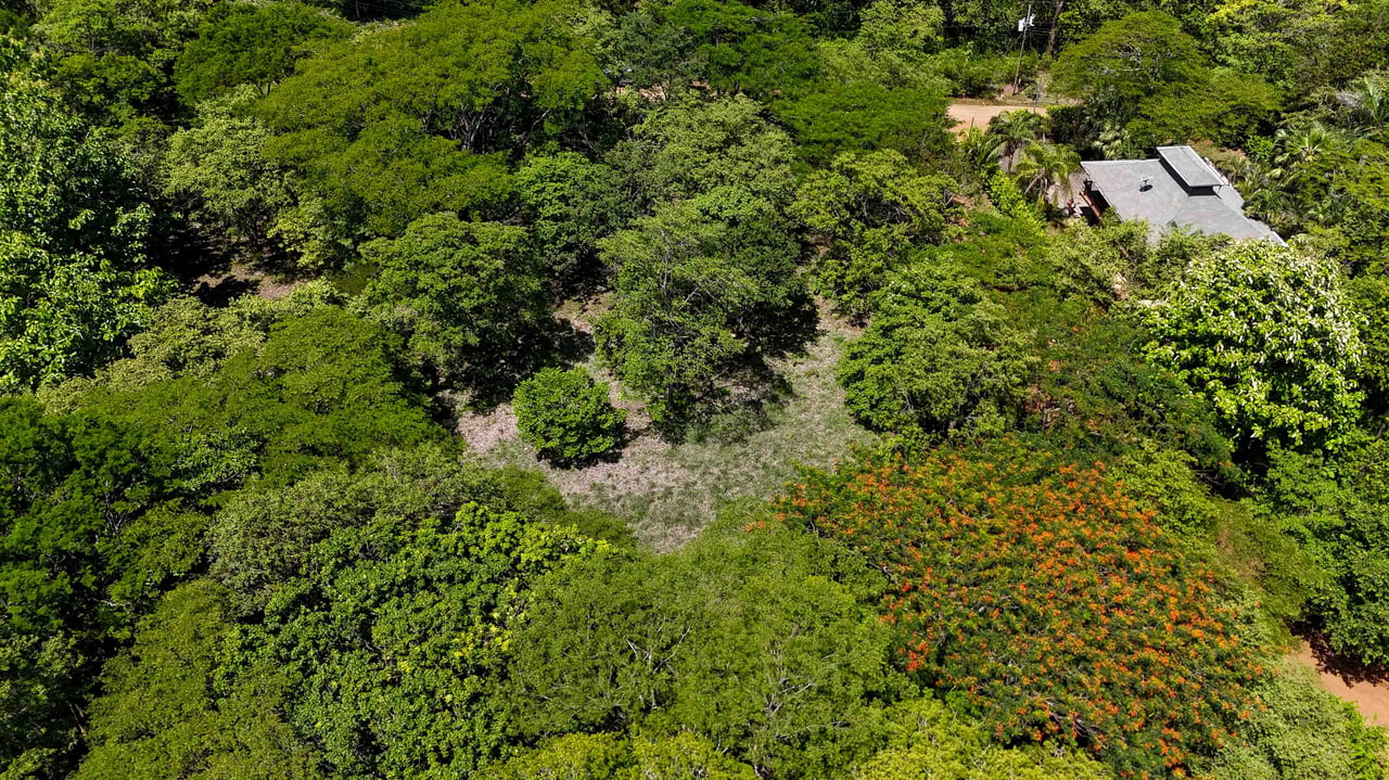 Acreage Estate Lot | 7,128 m² Buildable Property Near Playa Avellanas