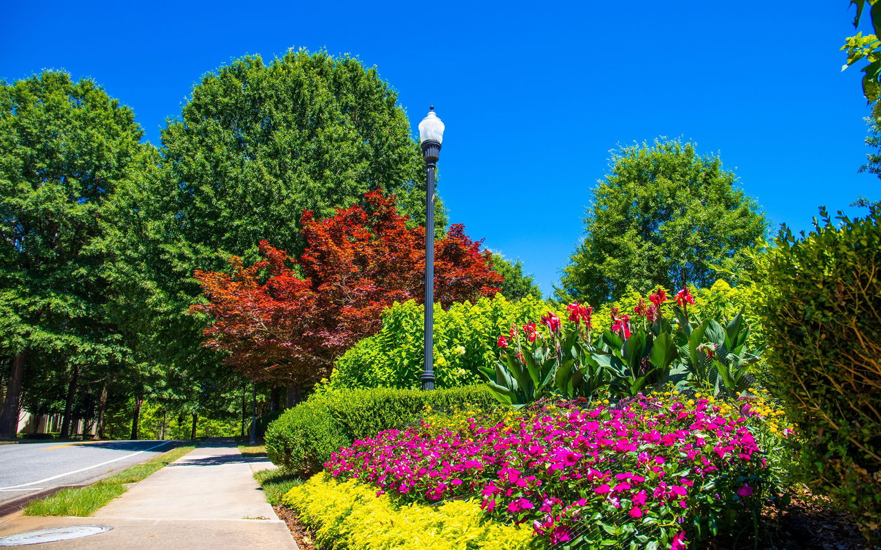 Alpharetta