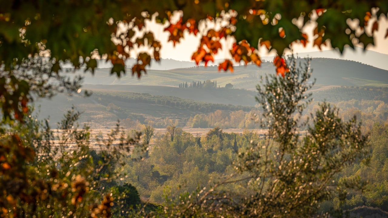 POGGIO COLOMBA