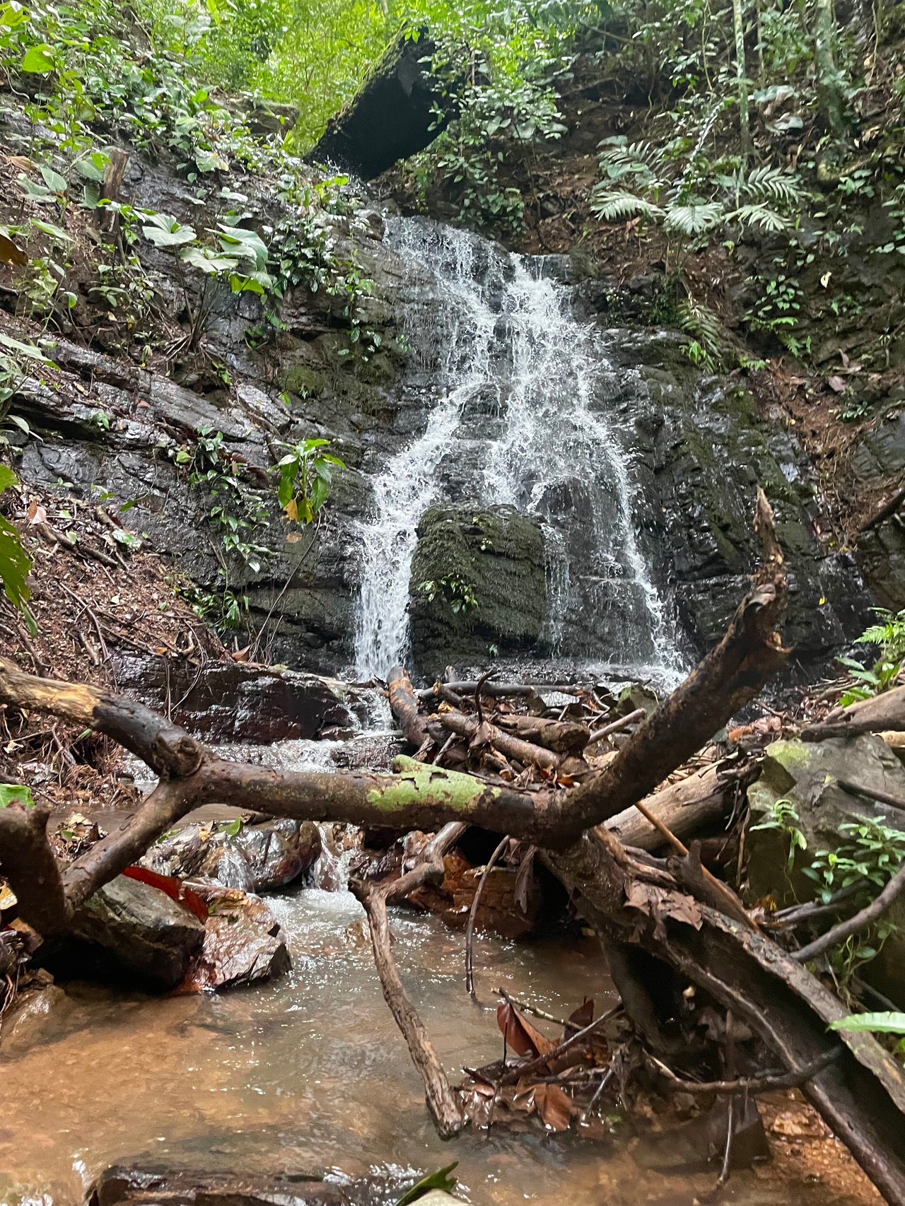 TROPICAL MASTERPIECE – 61.78 ACRES OF OCEANVIEW BLISS WITH WATERFALL