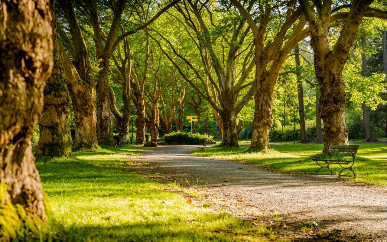 Amenities and Landmarks in Midlothian, VA