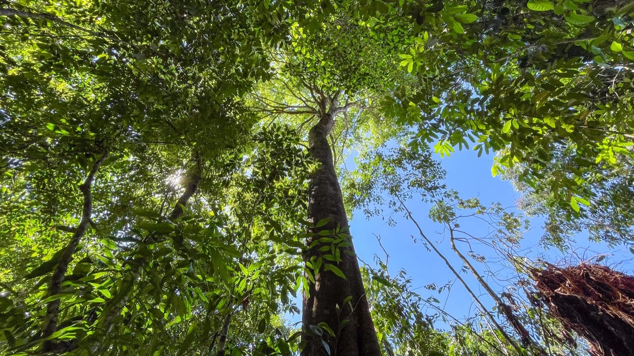 1.3-Acre Mountain View Land with 3 Building Sites in Uvita