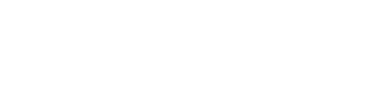 Roger Rietsema – Panama City Beach & 30A – Allison James Estates & Homes logo