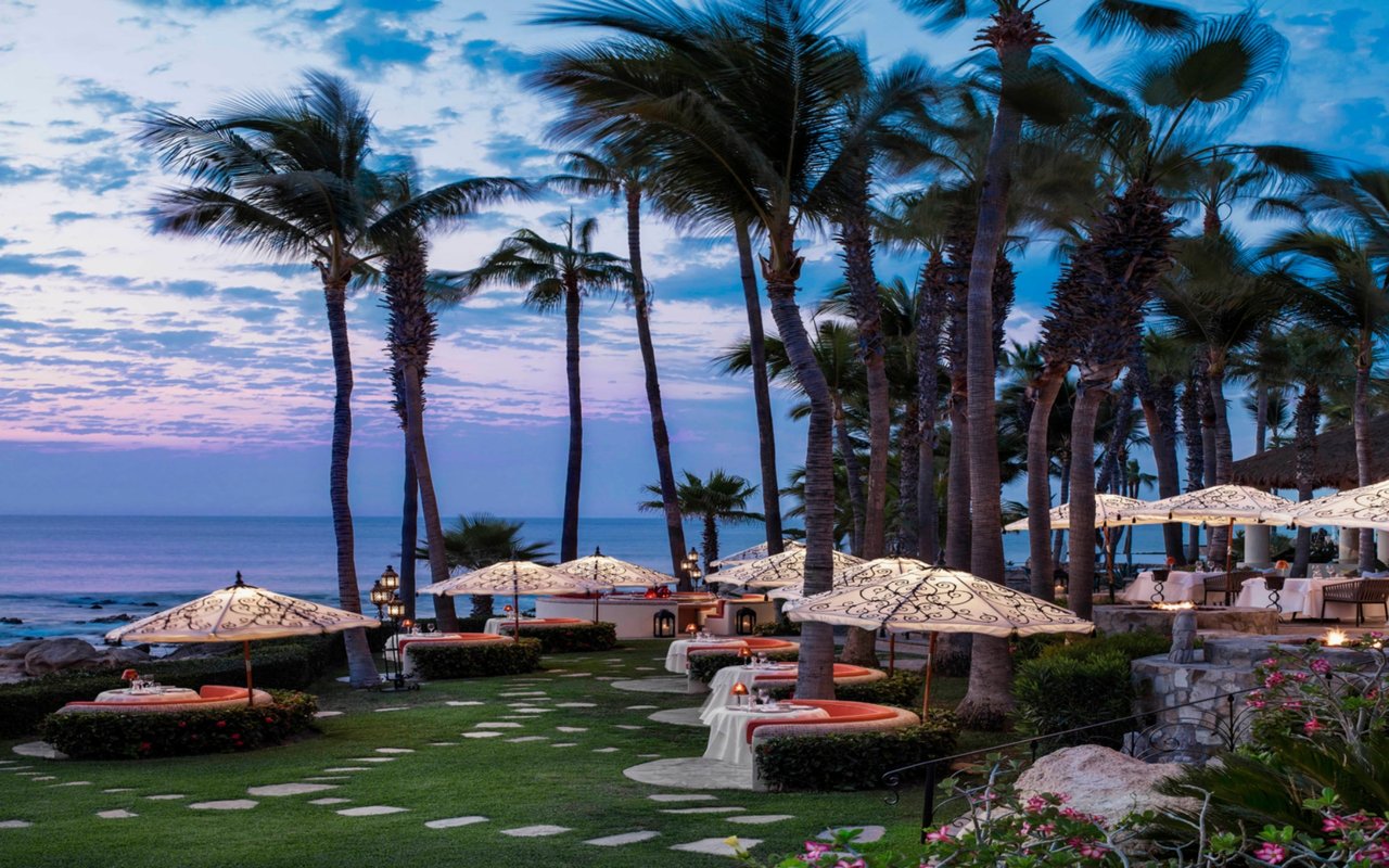 Sitting Pretty In Palmilla