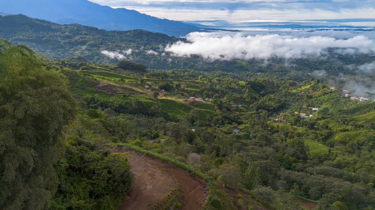 10.21 Acres with Views & Plantels – Pérez Zeledón