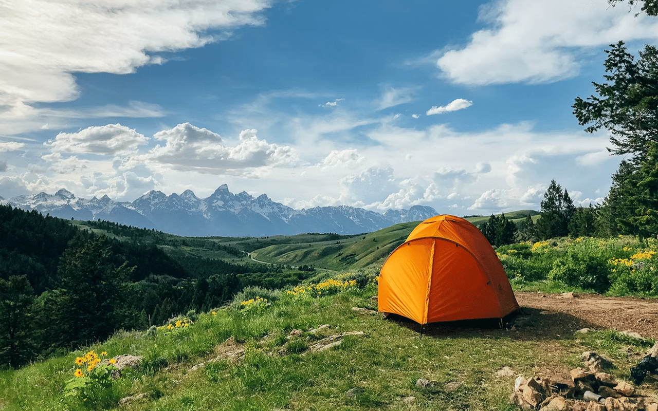 Orange tent on a flower-dotted mountain slope with a distant snow-covered range.