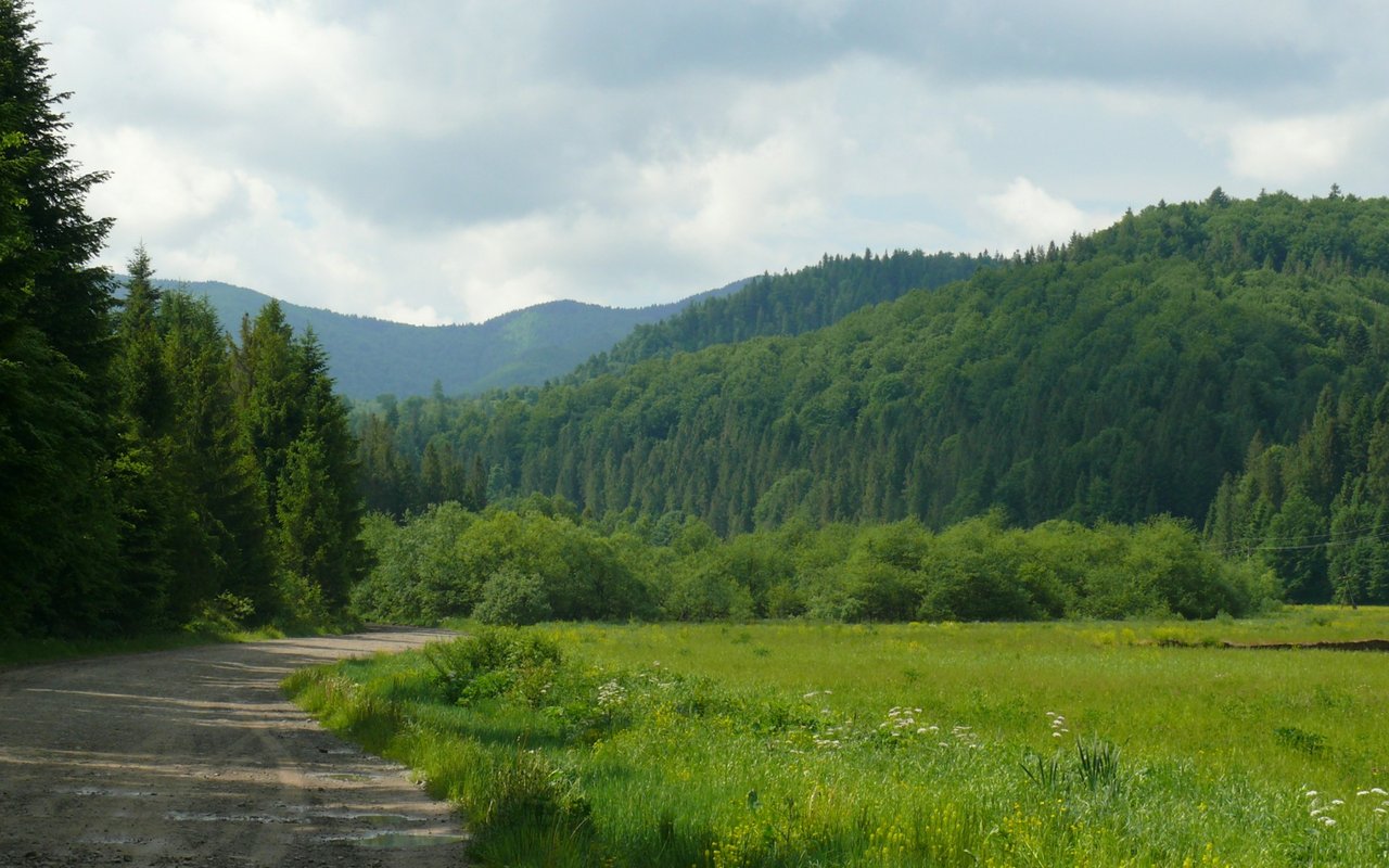 Mill Ridge