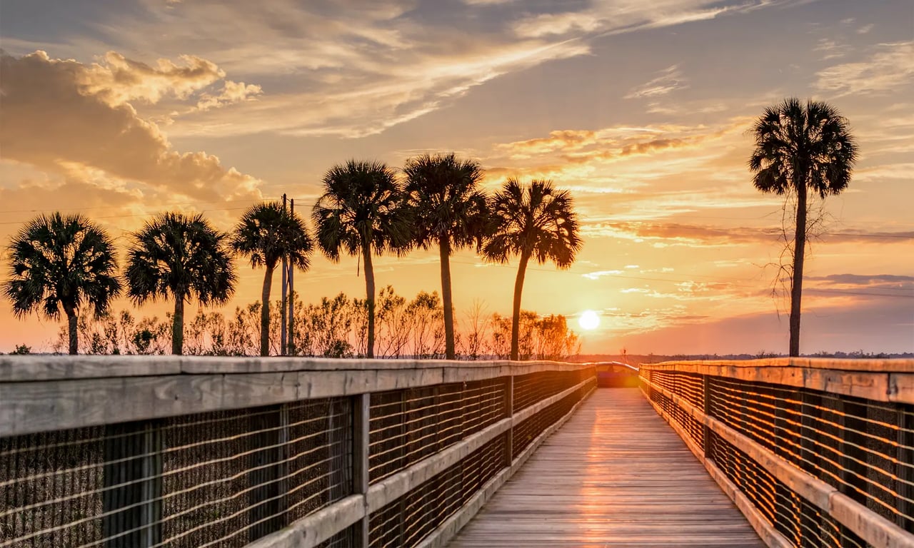 This image showcases a stunning sunset over Paynes Prairie Preserve State Park in Gainesville, Florida, with vibrant colors and iconic palm trees lining a wooden boardwalk. A popular destination for nature enthusiasts, Paynes Prairie adds to the appeal of Gainesville FL homes for sale, especially for those who value proximity to serene outdoor spaces. The breathtaking views and natural beauty make this area a gem for anyone exploring Gainesville FL real estate or searching for houses for sale in Gainesville FL. Whether you're enjoying Gainesville FL things to do or simply soaking in the scenery, Paynes Prairie is a must-visit spot.