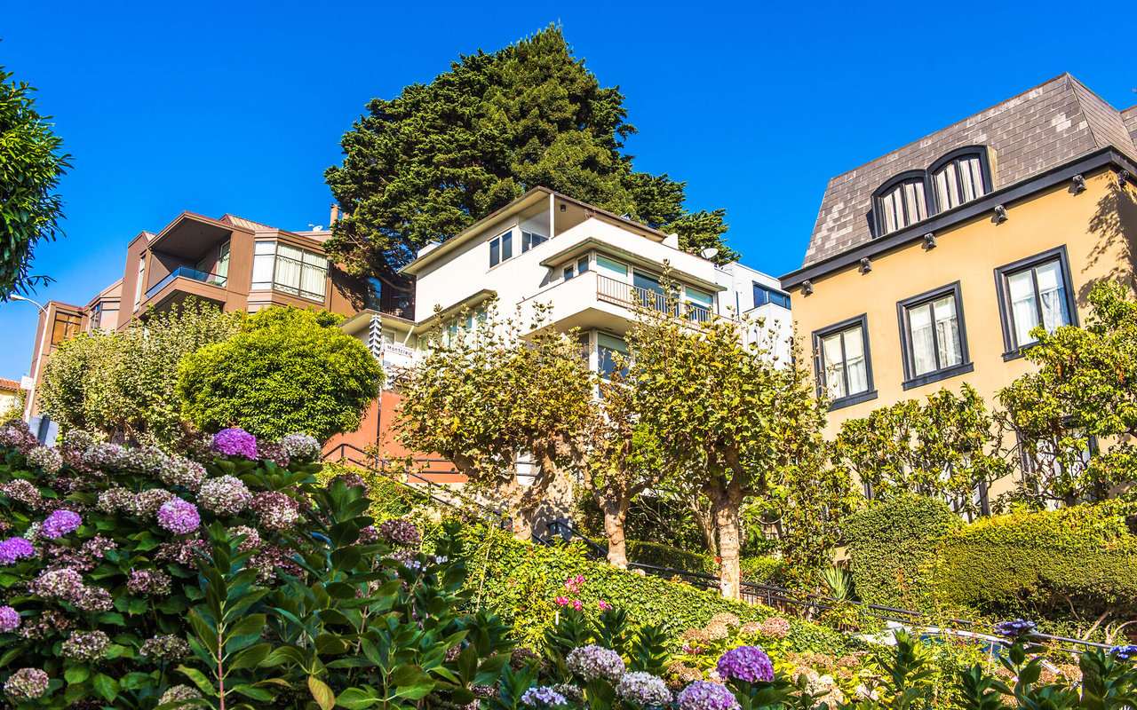 Homes on a landscaped slope, framed by flowering shrubs and mature trees.