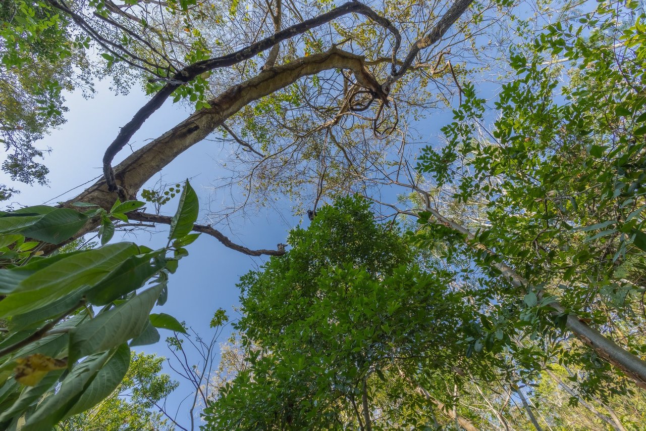 Exclusive Ocean View Development Homesite, Santa Teresa, Puntarenas