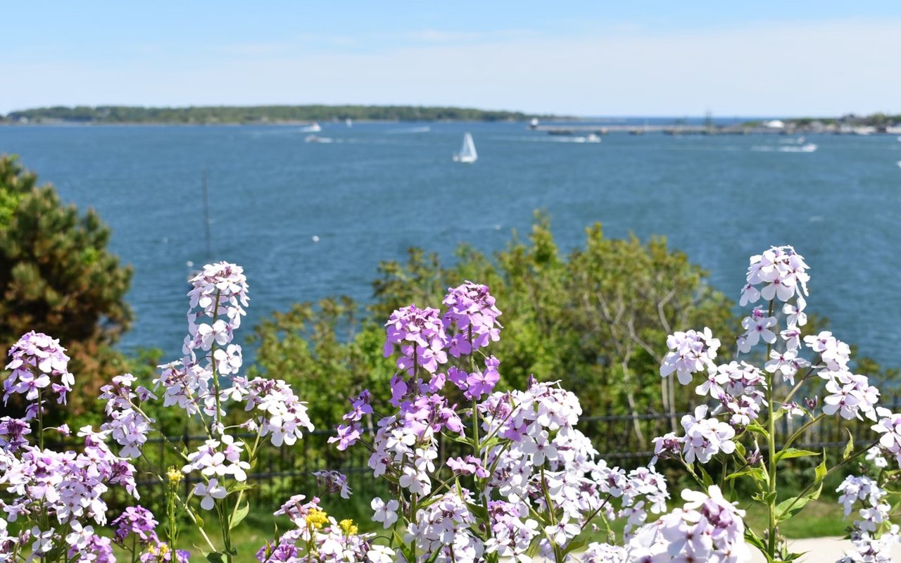 How to Spend a Day Outdoors in Portland