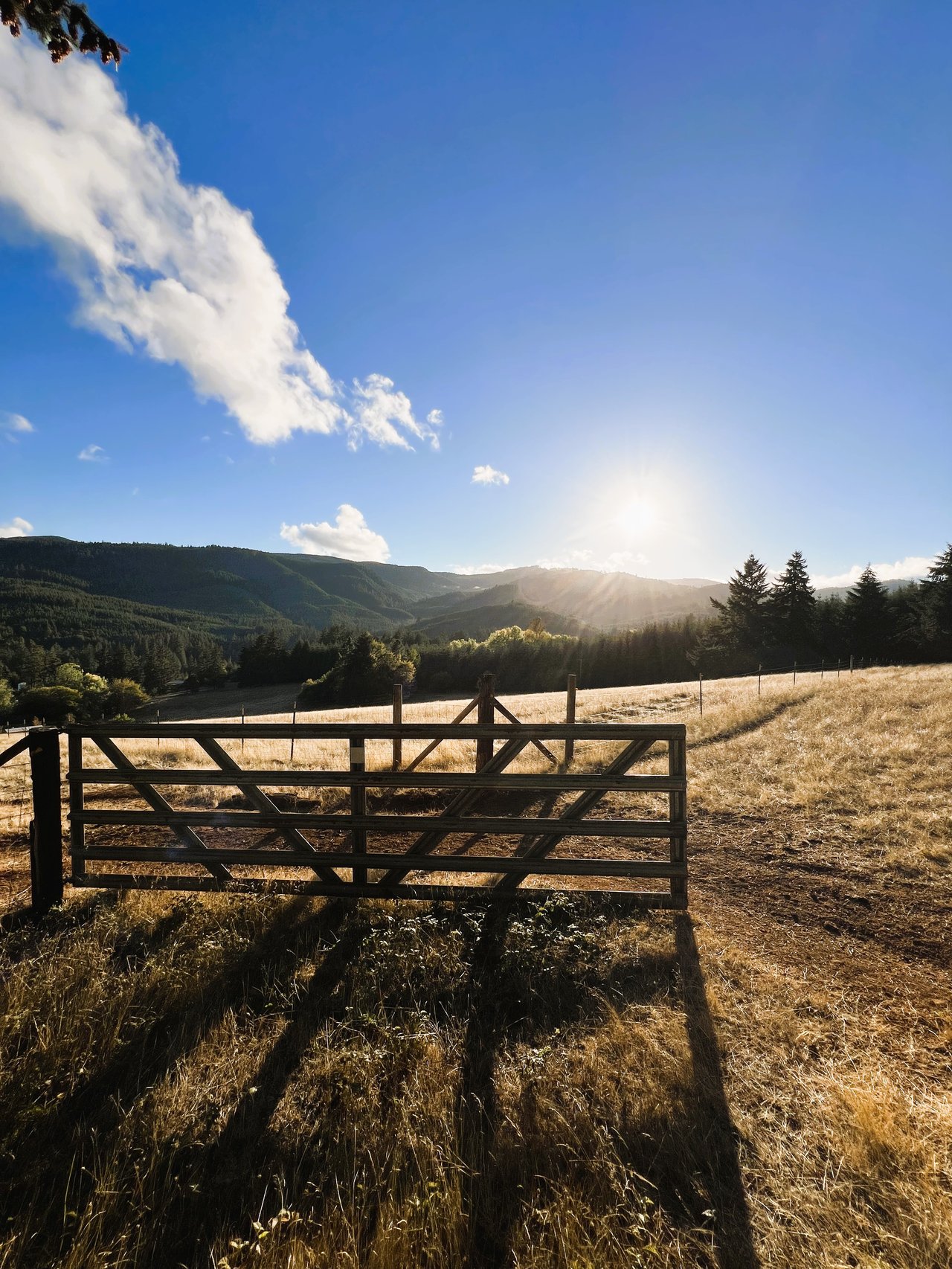 Panther Creek Homestead