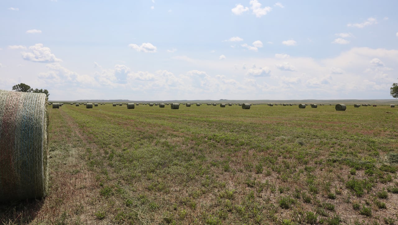 Spurs and Furs Ranch