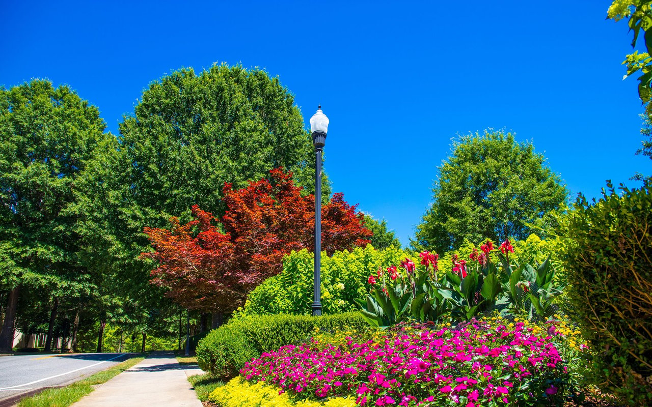 Alpharetta