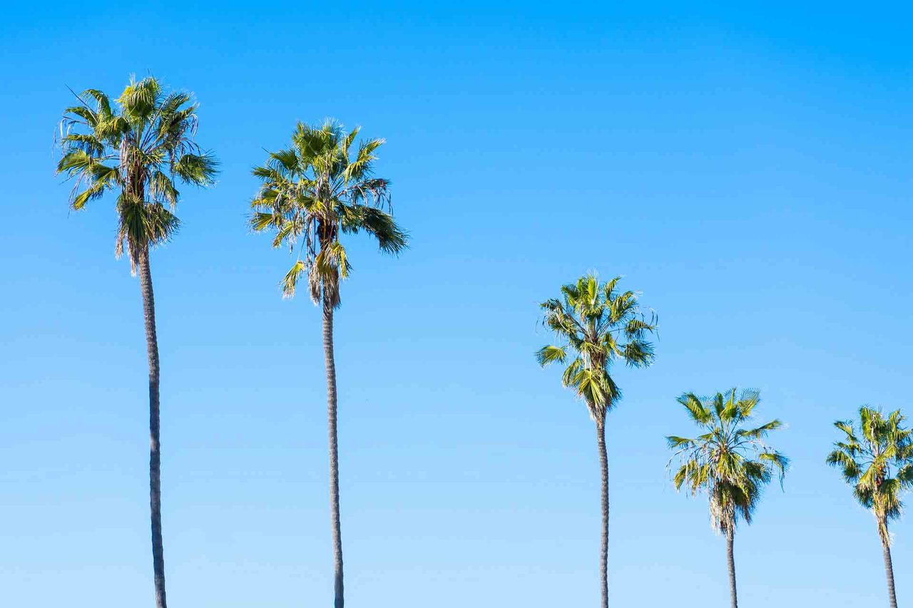 Carlsbad