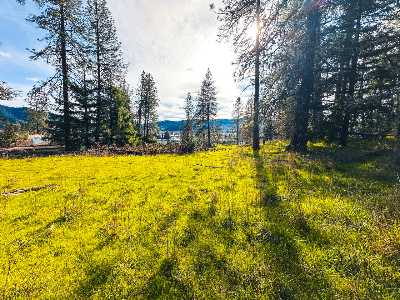 SUTHERLIN WOODLOTS