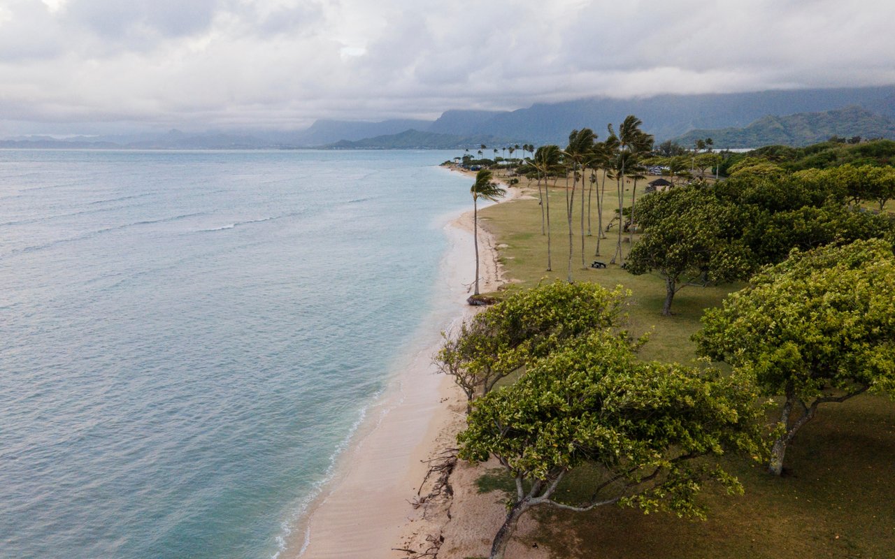 Mokuleia coastline with a palm-lined beach park and mountains in the distance.