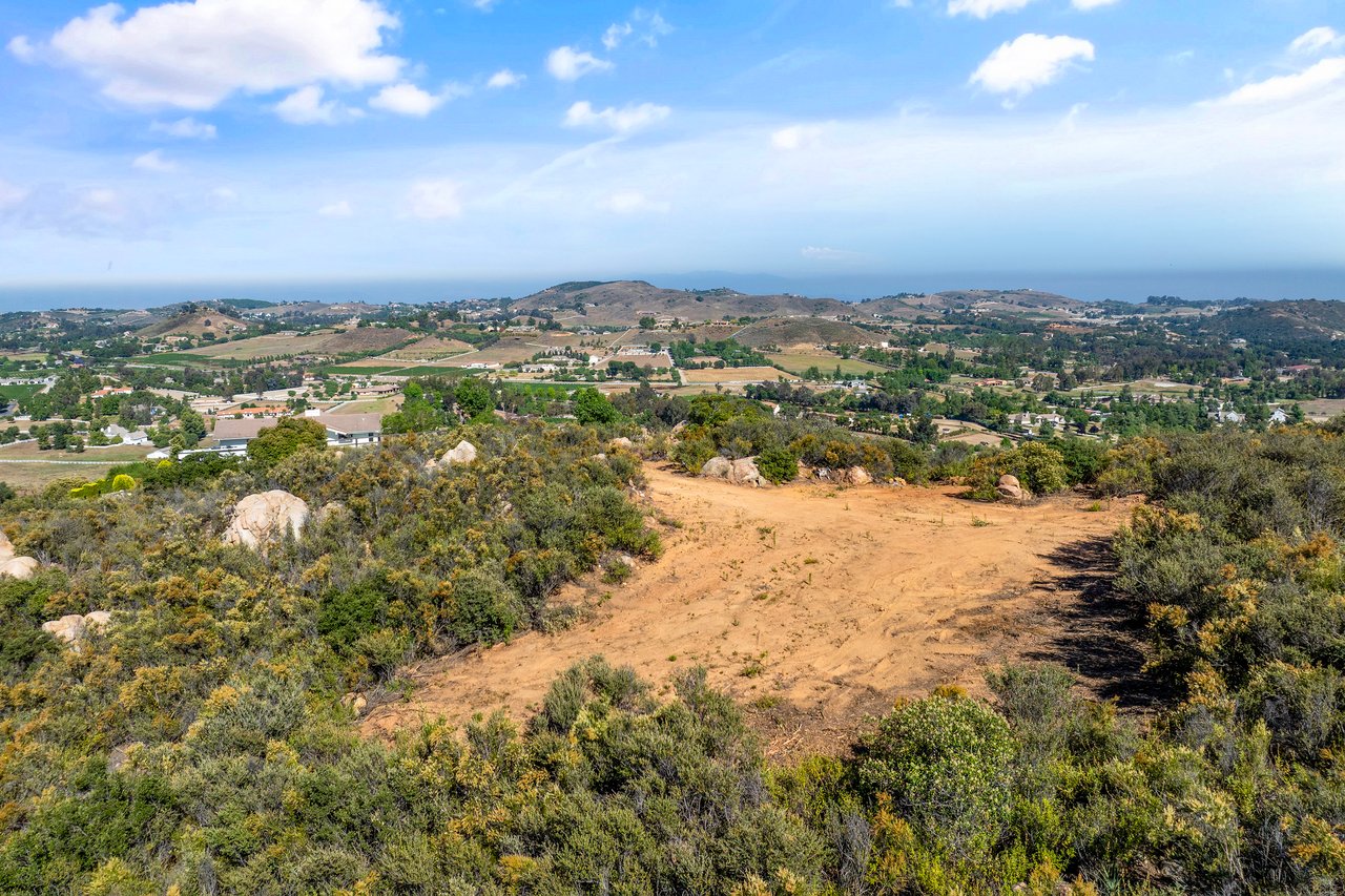 6 Vista del Bosque