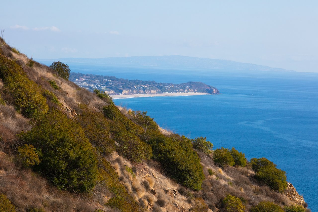 Escape to Avenida De La Encinal 