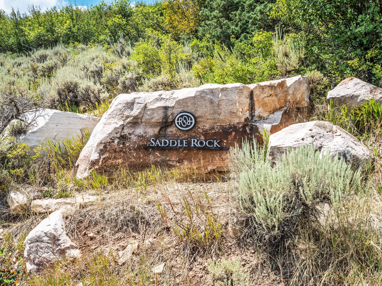 217 Saddle Rock