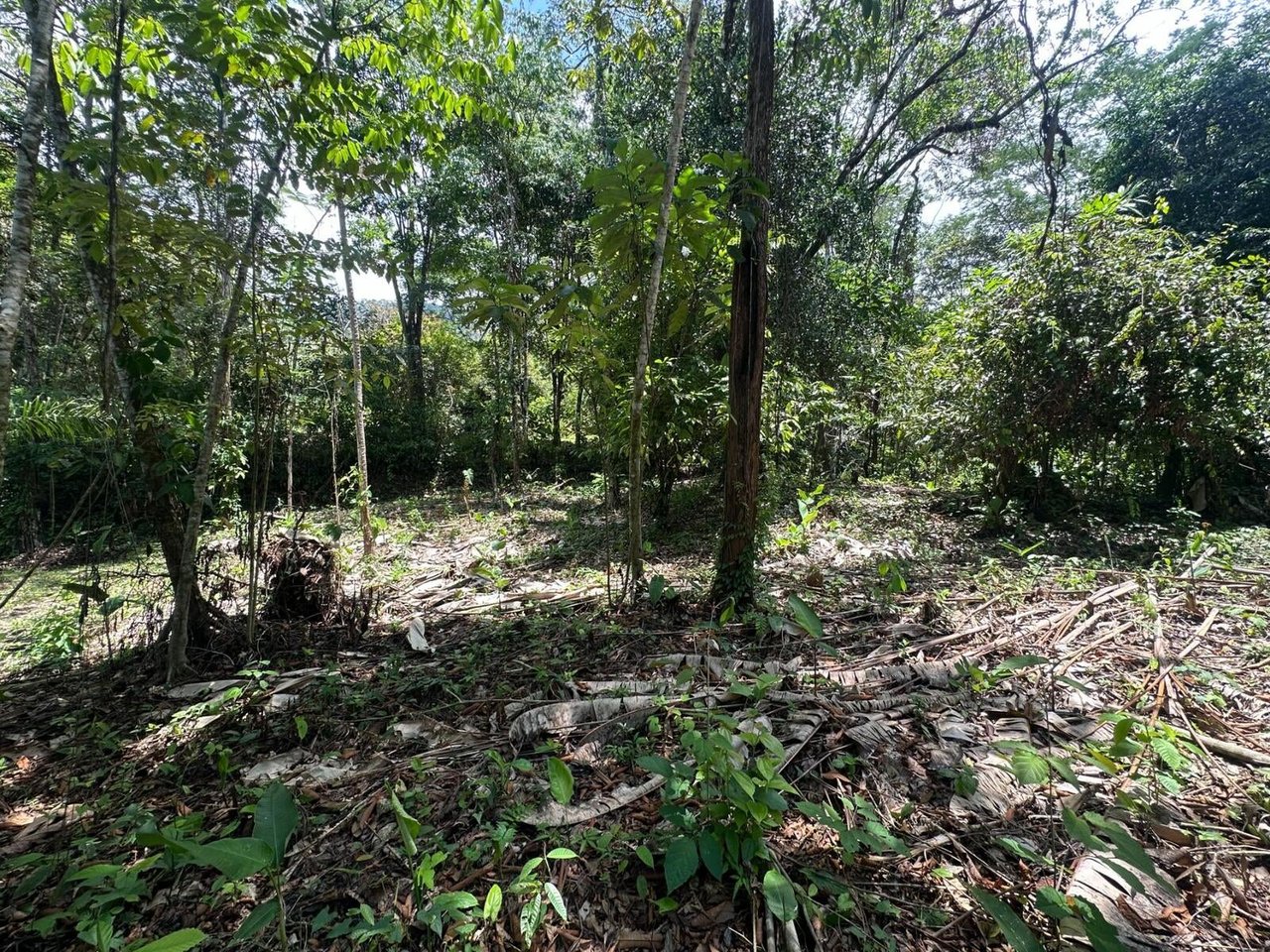 Private Waterfall Jungle Land, Uvita, Puntarenas