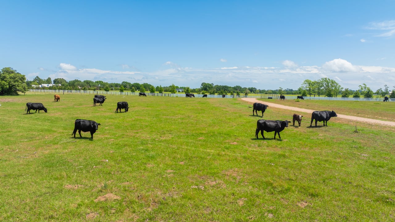 GoodThyme Farm